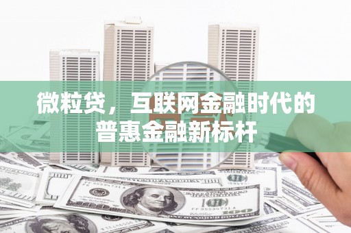 通道微粒贷，互联网金融时代的普惠金融新标杆