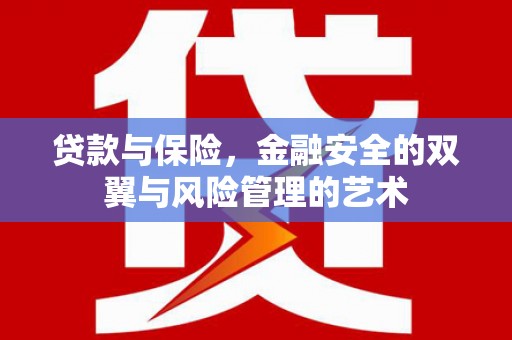 通道贷款与保险，金融安全的双翼与风险管理的艺术