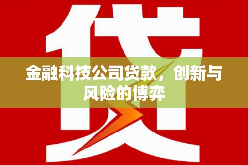 通道金融科技公司贷款，创新与风险的博弈