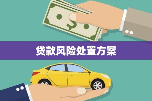通道贷款风险处置方案
