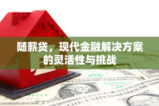通道随薪贷，现代金融解决方案的灵活性与挑战