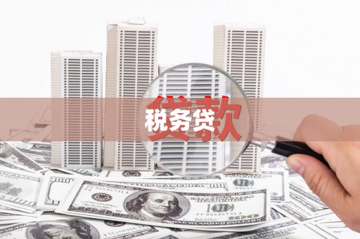 通道税务贷