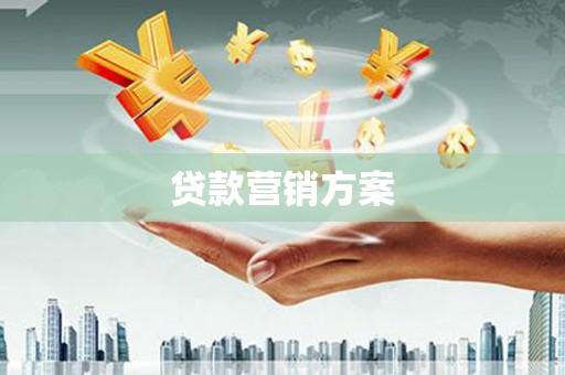 通道贷款营销方案