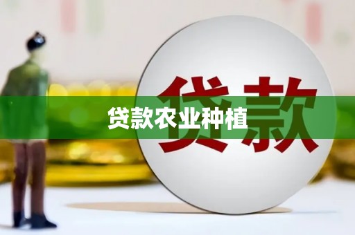 通道贷款农业种植