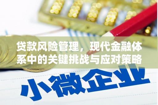 通道贷款风险管理，现代金融体系中的关键挑战与应对策略