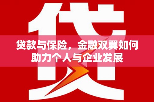 通道贷款与保险，金融双翼如何助力个人与企业发展