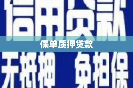 通道保单质押贷款