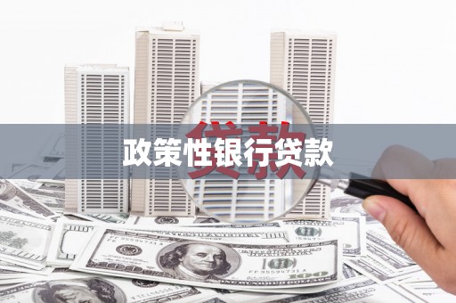 通道政策性银行贷款