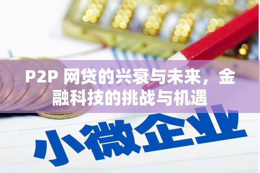 通道P2P 网贷的兴衰与未来，金融科技的挑战与机遇