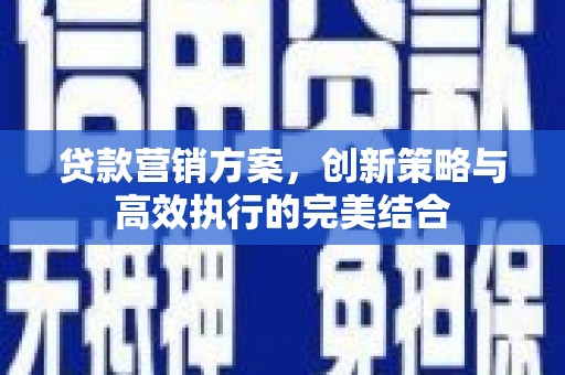 通道贷款营销方案，创新策略与高效执行的完美结合