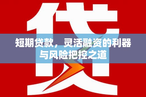 通道短期贷款，灵活融资的利器与风险把控之道