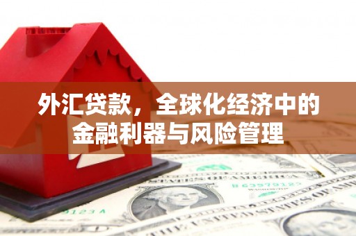 通道外汇贷款，全球化经济中的金融利器与风险管理