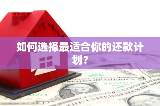 通道如何选择最适合你的还款计划？