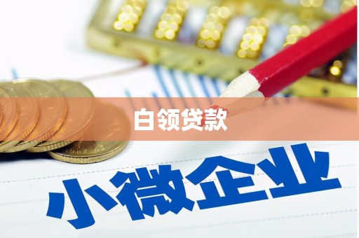通道白领贷款