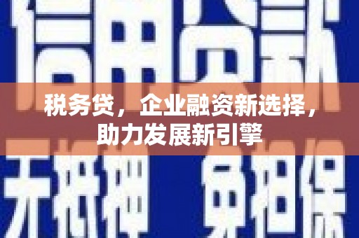 通道税务贷，企业融资新选择，助力发展新引擎