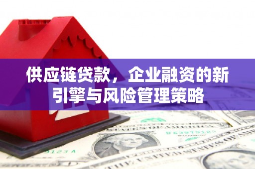 通道供应链贷款，企业融资的新引擎与风险管理策略