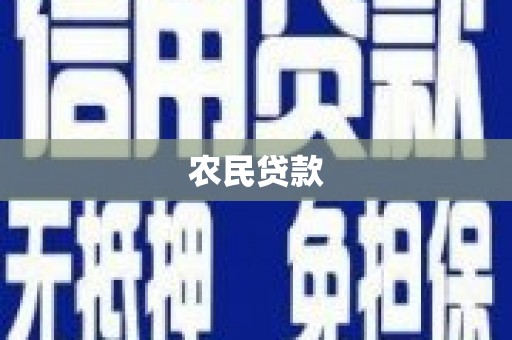 通道农民贷款