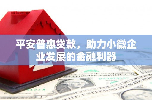 通道平安普惠贷款，助力小微企业发展的金融利器