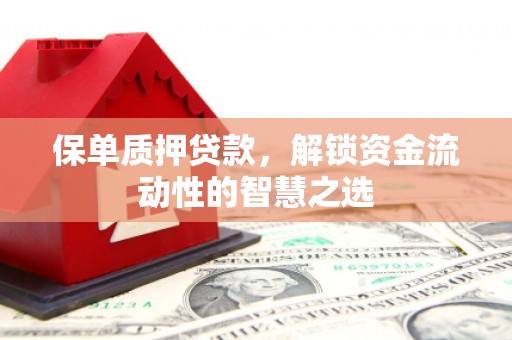 通道保单质押贷款，解锁资金流动性的智慧之选