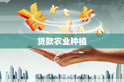 通道贷款农业种植