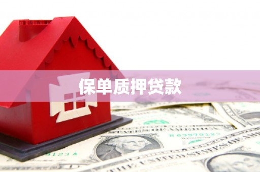 通道保单质押贷款
