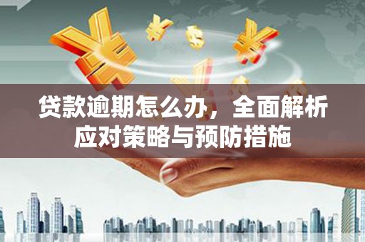 通道贷款逾期怎么办，全面解析应对策略与预防措施