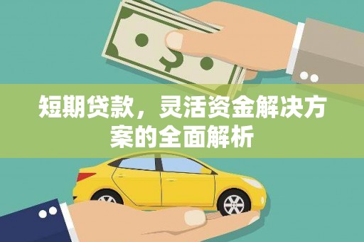 通道短期贷款，灵活资金解决方案的全面解析