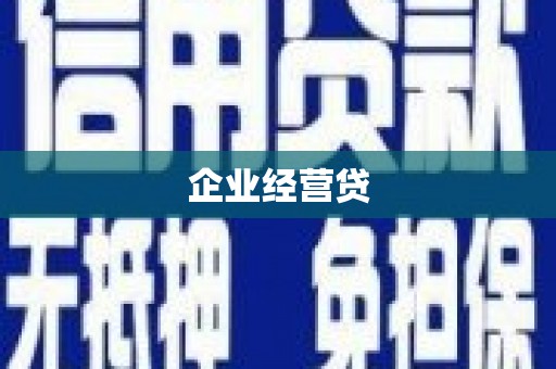 通道企业经营贷