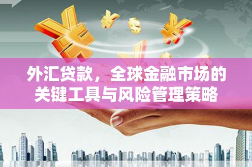 通道外汇贷款，全球金融市场的关键工具与风险管理策略