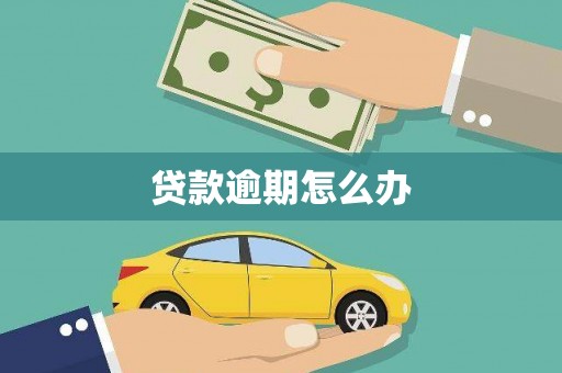 通道贷款逾期怎么办