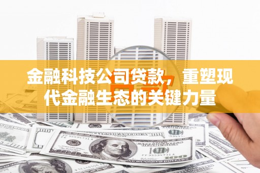 通道金融科技公司贷款，重塑现代金融生态的关键力量