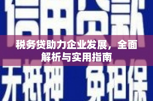 通道税务贷助力企业发展，全面解析与实用指南