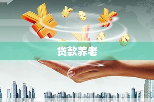 通道贷款养老