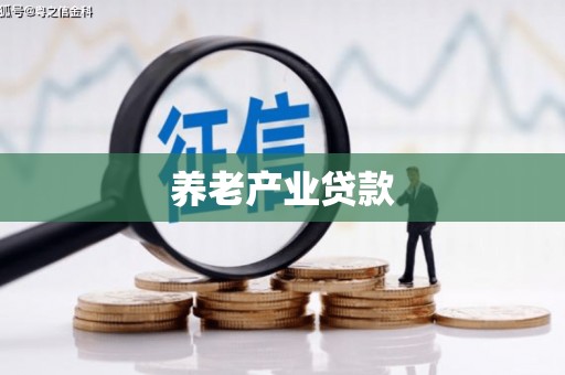 通道养老产业贷款
