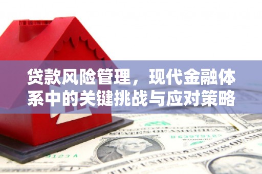 通道贷款风险管理，现代金融体系中的关键挑战与应对策略