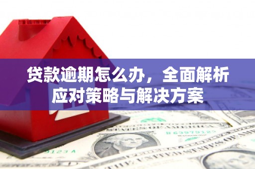 通道贷款逾期怎么办，全面解析应对策略与解决方案