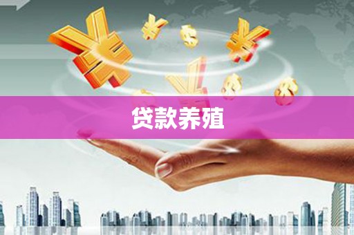 通道贷款养殖