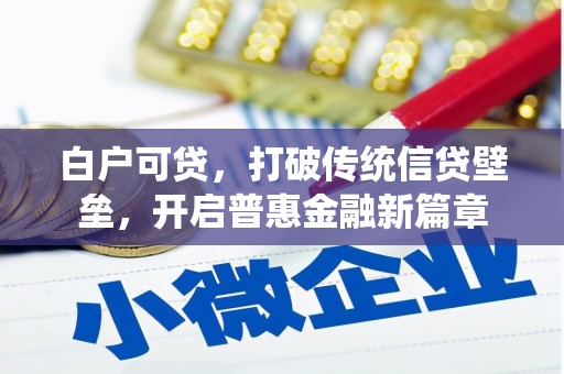 通道白户可贷，打破传统信贷壁垒，开启普惠金融新篇章