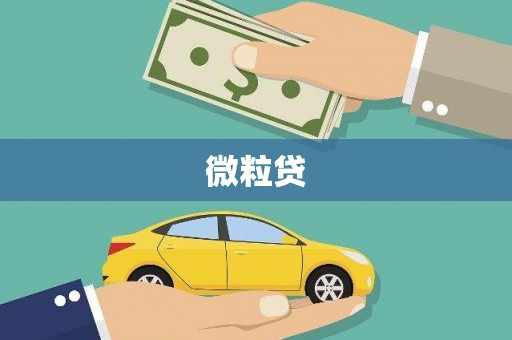 通道微粒贷