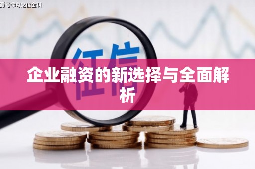 通道企业融资的新选择与全面解析