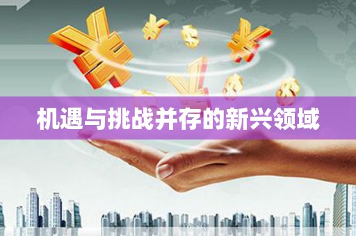 通道机遇与挑战并存的新兴领域