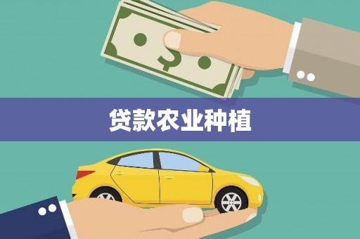通道贷款农业种植