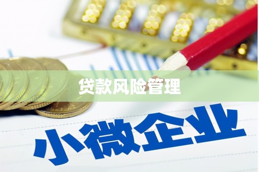 通道贷款风险管理